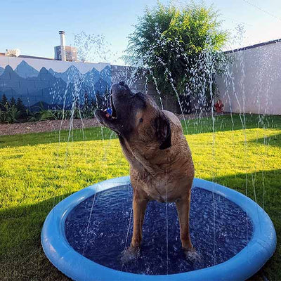 FidoSplash™ – Das Planschbecken, das deinen Hund glücklich macht!