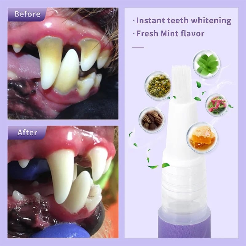 VitaSmile™ — Verwandeln Sie das Lächeln Ihres Haustiers mit schmerzfreier Frische (1+1 HEUTE GRATIS!)