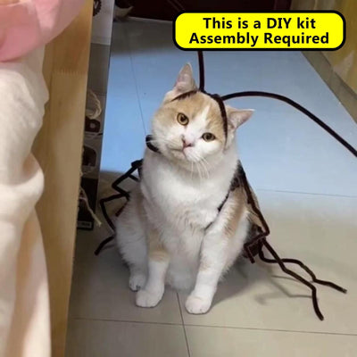 Katzen-Kakerlaken-Kleidung DIY-Set, Lustiges Kätzchen-Cape-Bastelset, Kätzchenkostüm-Zubehör mit Kakerlakenflügeln und Antennen, Cosplay-Halloween-Partydekoration für Katze und kleinen Hund (2er-Set)