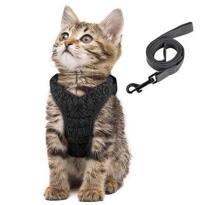 Câlinou™ | Sicherheit und Komfort für Ihre Katze