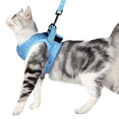 Câlinou™ | Sicherheit und Komfort für Ihre Katze