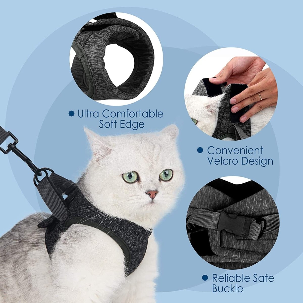 Câlinou™ | Sicherheit und Komfort für Ihre Katze