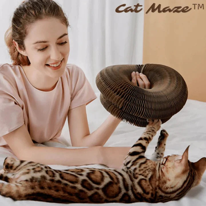Fabehe Katzenspielzeug