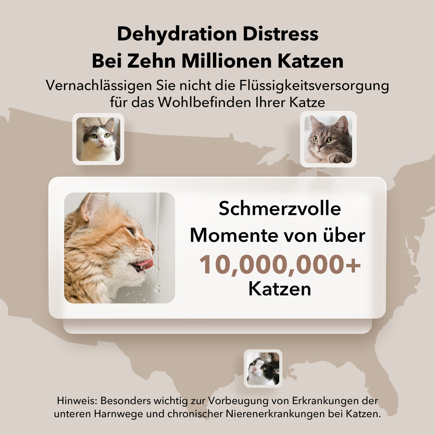 Dockstream Intelligenter Katzenbrunnen