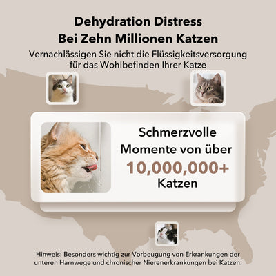 Dockstream Intelligenter Katzenbrunnen