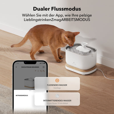 Dockstream Intelligenter Katzenbrunnen