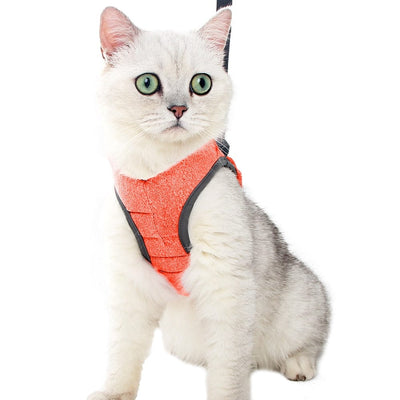 Câlinou™ | Sicherheit und Komfort für Ihre Katze