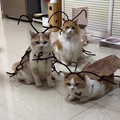 Katzen-Kakerlaken-Kleidung DIY-Set, Lustiges Kätzchen-Cape-Bastelset, Kätzchenkostüm-Zubehör mit Kakerlakenflügeln und Antennen, Cosplay-Halloween-Partydekoration für Katze und kleinen Hund (2er-Set)