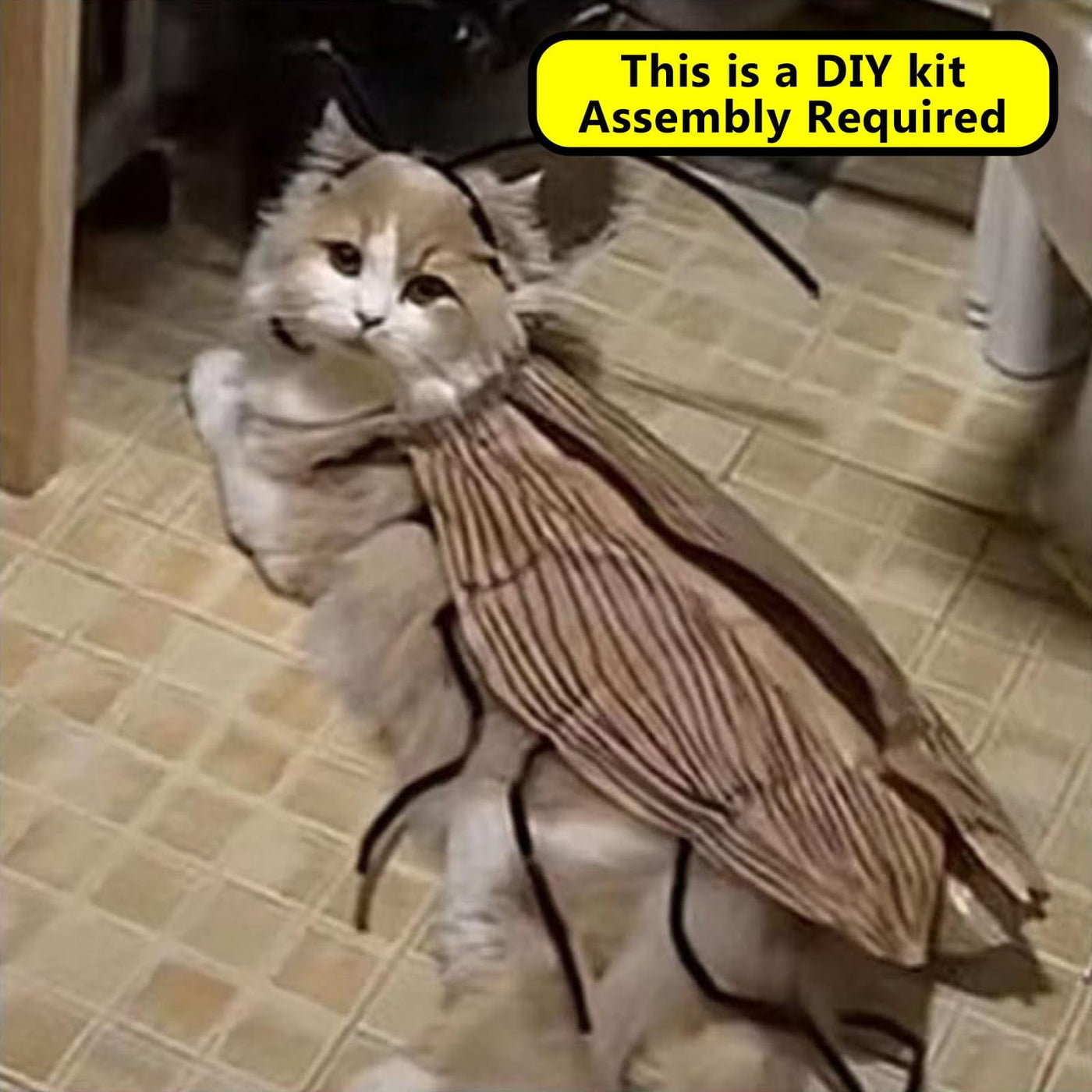 Katzen-Kakerlaken-Kleidung DIY-Set, Lustiges Kätzchen-Cape-Bastelset, Kätzchenkostüm-Zubehör mit Kakerlakenflügeln und Antennen, Cosplay-Halloween-Partydekoration für Katze und kleinen Hund (2er-Set)