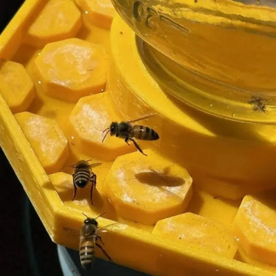 BuzzBloom – Dekorativer Bienen-Trinkplatz für den Garten