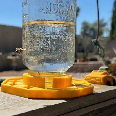 BuzzBloom – Dekorativer Bienen-Trinkplatz für den Garten