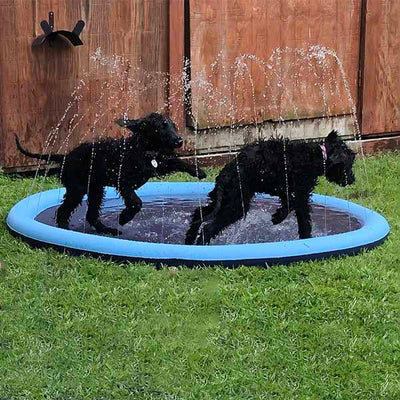 FidoSplash™ – Das Planschbecken, das deinen Hund glücklich macht!