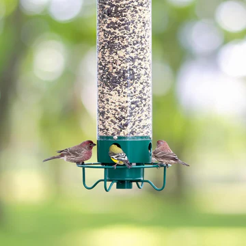 Anti-Eichhörnchen Vogelfutterspender