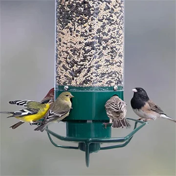 Anti-Eichhörnchen Vogelfutterspender